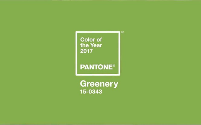 Pantone Color of the Year for 2017 Is Everything We All Need